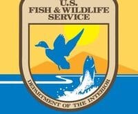 Us Fish and Wildlife Jobs
